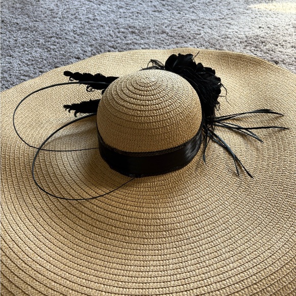 Elegant Black Feathered Hat